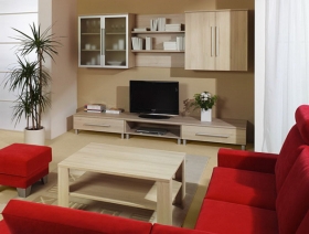 Menší fotografie obývací stěny - Obývací pokoj 1